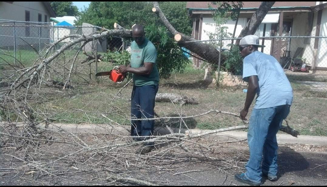 Tree Work