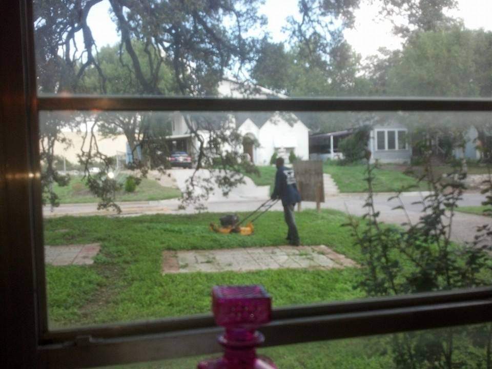 Window View of Manor Lawns