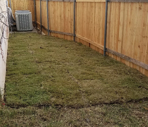 Yard Clean Up 3