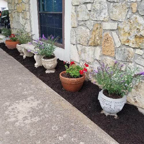 Flowerbeds