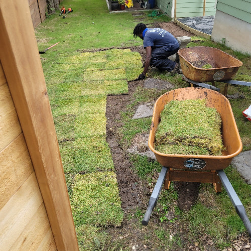 Sod Installation