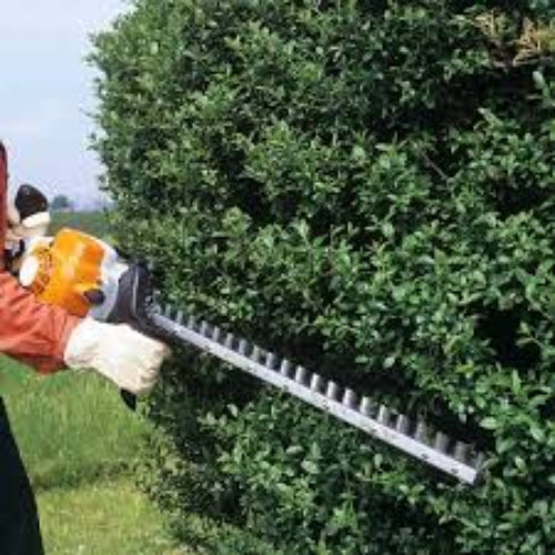 Trimming Shrubs